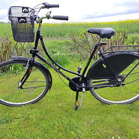 Haus Deichblick Feriehus