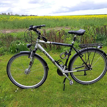 Feriehus Haus Deichblick *