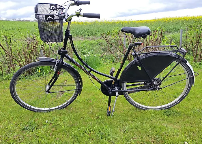 Haus Deichblick Casa de Férias